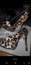 New In Box Brown Leopard Print