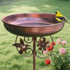 Iron bird bath - bird, five