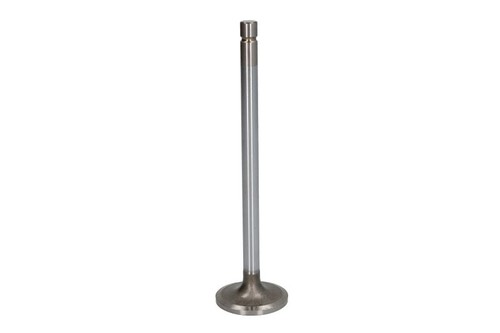 Intake valve fits daf - intake,