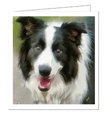 Border Collie Fine Art