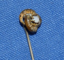 Opal Stick Pin, Love Knot