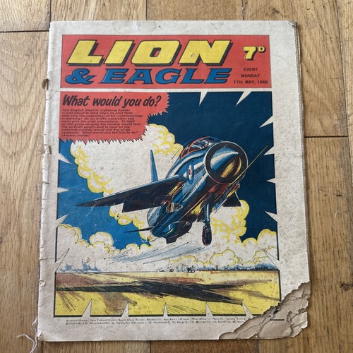 Lion and eagle comic - lion,