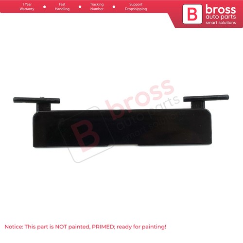 Panoramic roof rack port - roof,