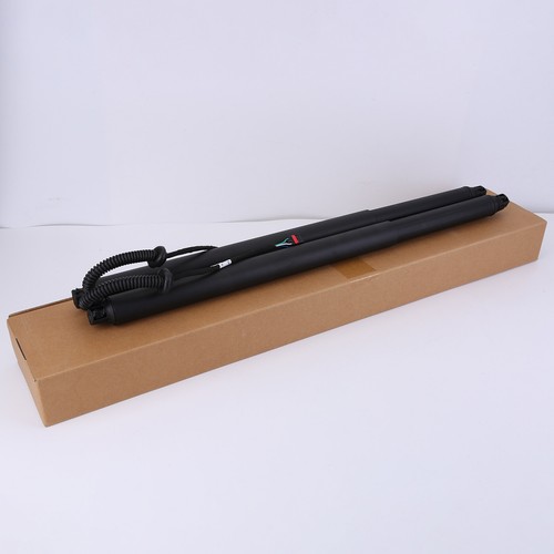 Electric tailgate gas - tailgate,