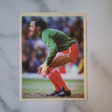 351) BRUCE GROBBELAAR
