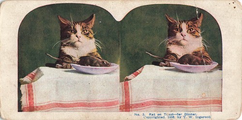 Stereoscopic view card no3 rat - stereoscopic,