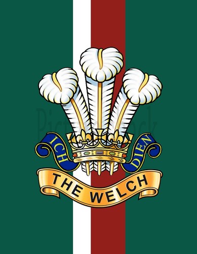 The welch regiment cap badge - regiment,