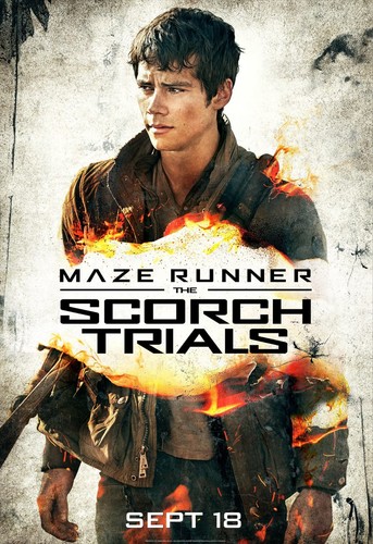 Maze runner the - maze,