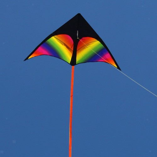 Giant delta kite fly - delta, huge