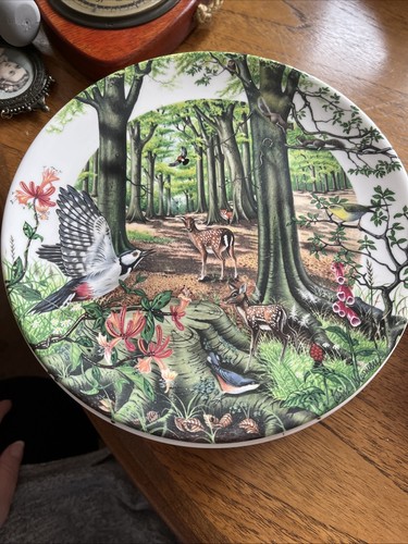 Wedgwood plate the - plate, beechwood