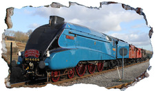 Mallard Locomotive Steam Train