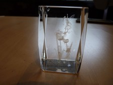 3D Laser Etched  Fairy Glass Paper Weight
