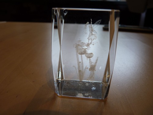 Laser etched fairy glass - 3d,