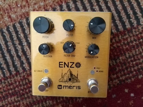 Meris enzo synth guitar - meris,