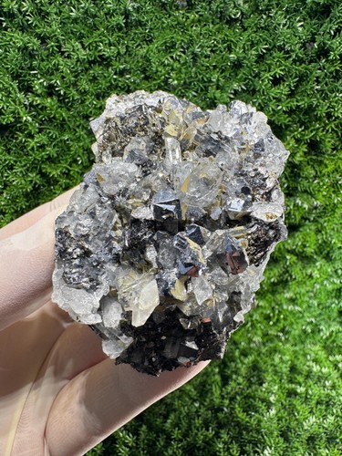 Striking specimen galena - striking,