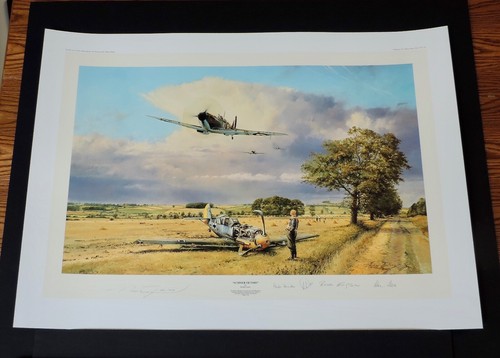 Robert taylor summer - robert,