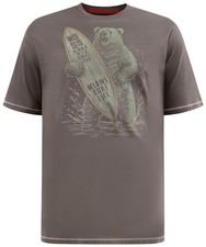 D555 SURFING BEAR PRINT T