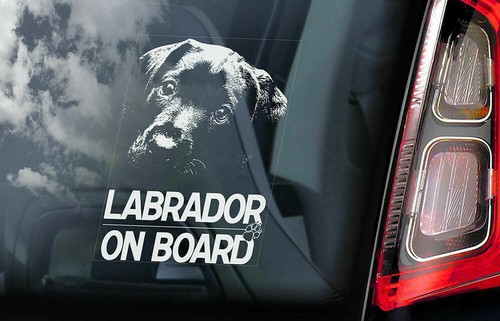 Labrador car sticker - labrador, on