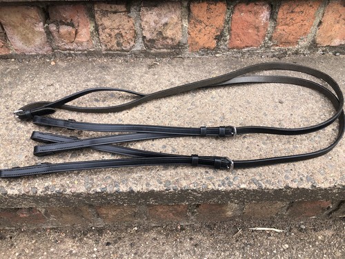 English spilt reins showing - , /showing