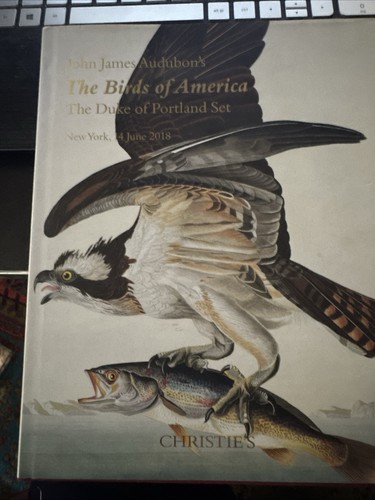 The birds america - the,