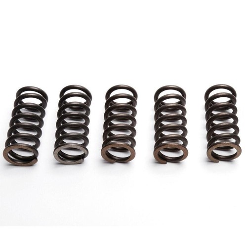 Ebc clutch spring set - set, (5