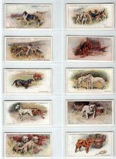 PLAYERS: Dogs (Scenic