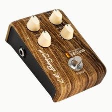 LR Baggs Align Series Session