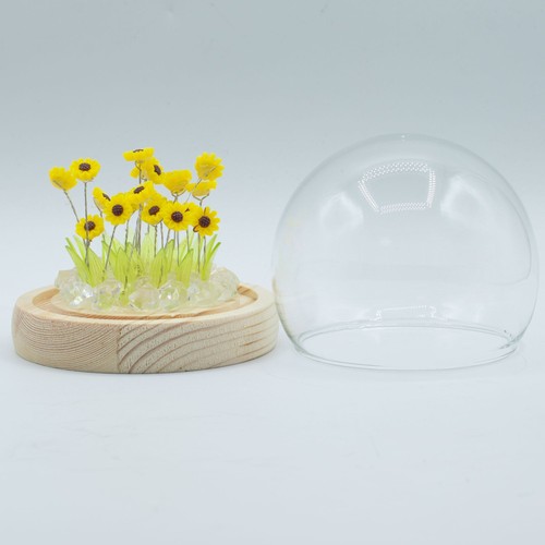 Floral glow garden - dome,
