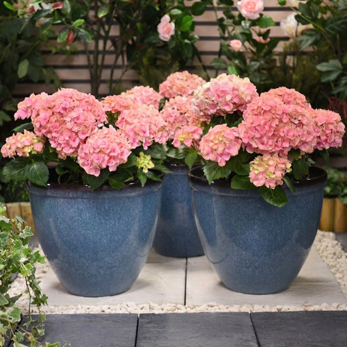 Garden gear glazed effect - garden,
