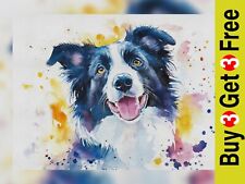 Border Collie Portrait 5"x7"