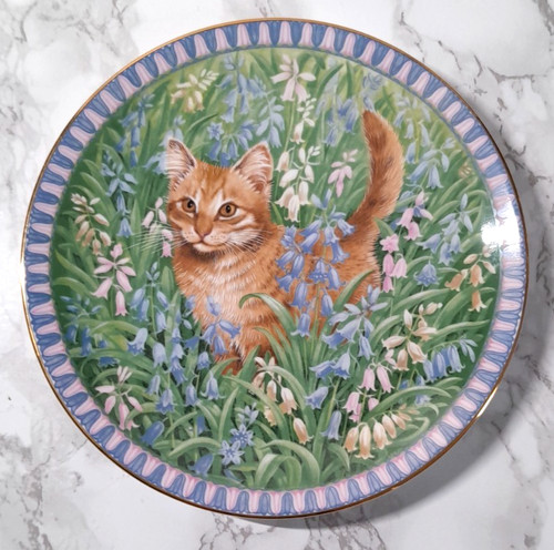 Aynsley lesley anne ivory - aynsley,