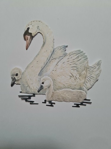 Tattered lace swan cygnets - swan, &