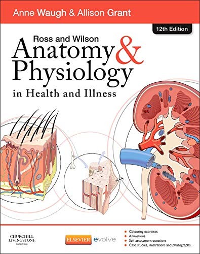 Ross and wilson anatomy - and,