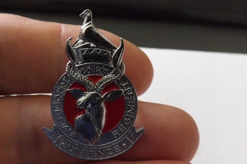 South africa military badge - south,