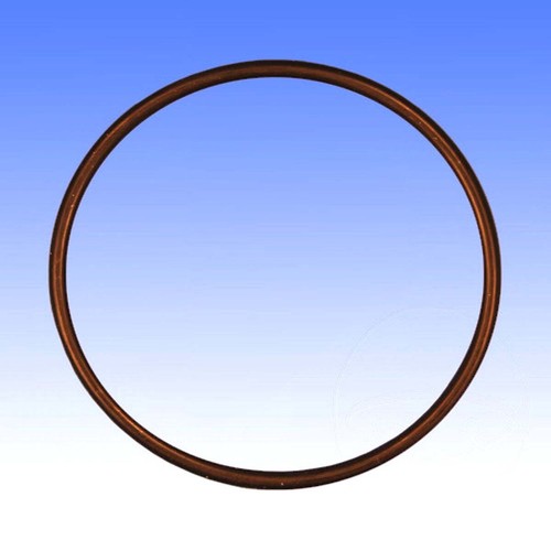 Valve gasket ring - valve,