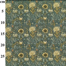 Rose & Hubble Morris Style