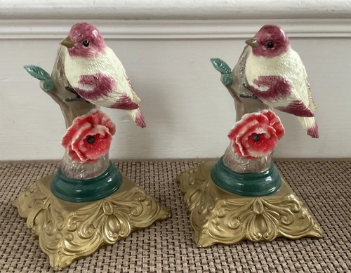 Stunning resin finch on - finch,
