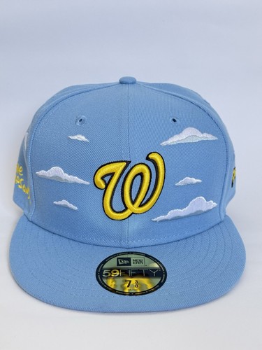 Simpsons washington - x,