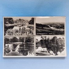 Loughton Postcard C1950 Real Photo Epping Forest Baldwins Hill & Views Essex