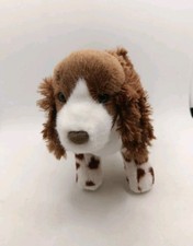 Douglas English Springer