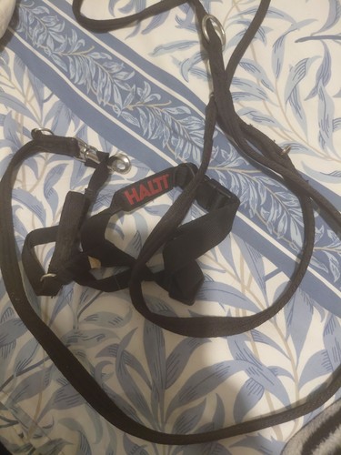 Halti dog lead and - dog,