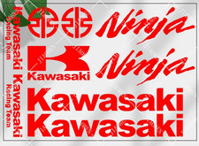 Kawasaki Racing Motorcycle