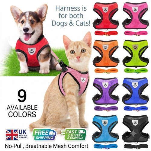 Adjustable cat harness and - adjustable,