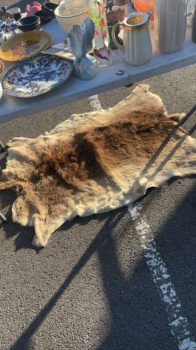 Real deer skin throw - skin, genuine