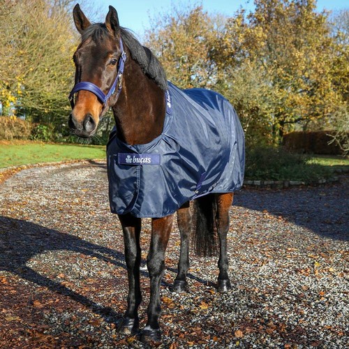 Bucas stable sheet - bucas, 0g