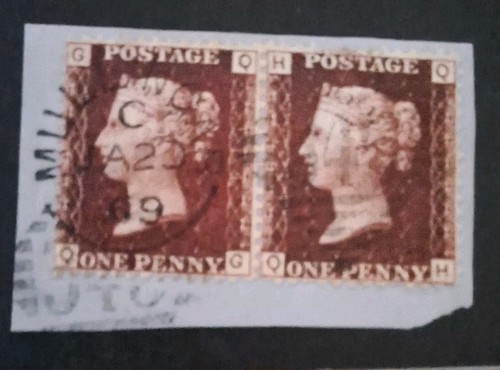 Brown red 84 - qv,