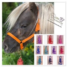 MINI SHETLAND HEADCOLLAR &