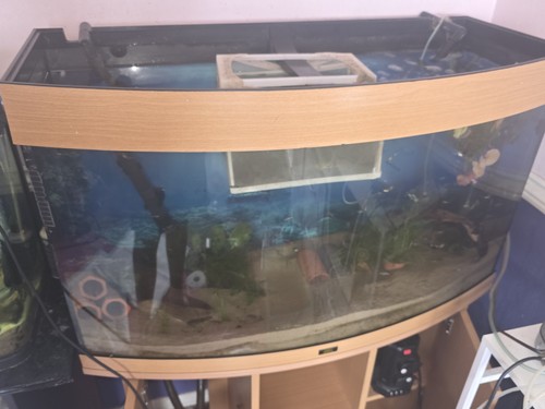 180 litre bowl - 180,