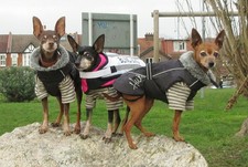 Hurtta All Weather Puppy Dog Coat Funnel Neck Showerproof Fleece Lined XS 27 cm