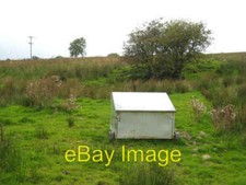 Photo 6x4 Creep feeder and